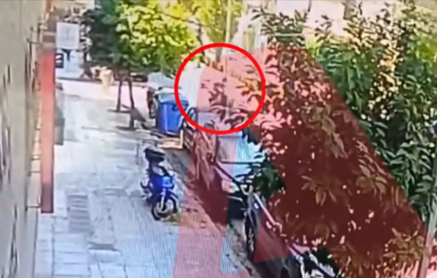 Τροχαίο στην Καισαριανή: Νεκρή η 25χρονη συνοδηγός της μηχανής – Σοκαριστικό βίντεο από τη σύγκρουση