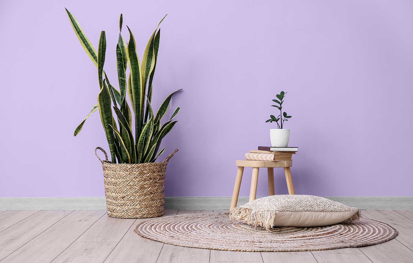 Μωβ τοίχος σπιτιού