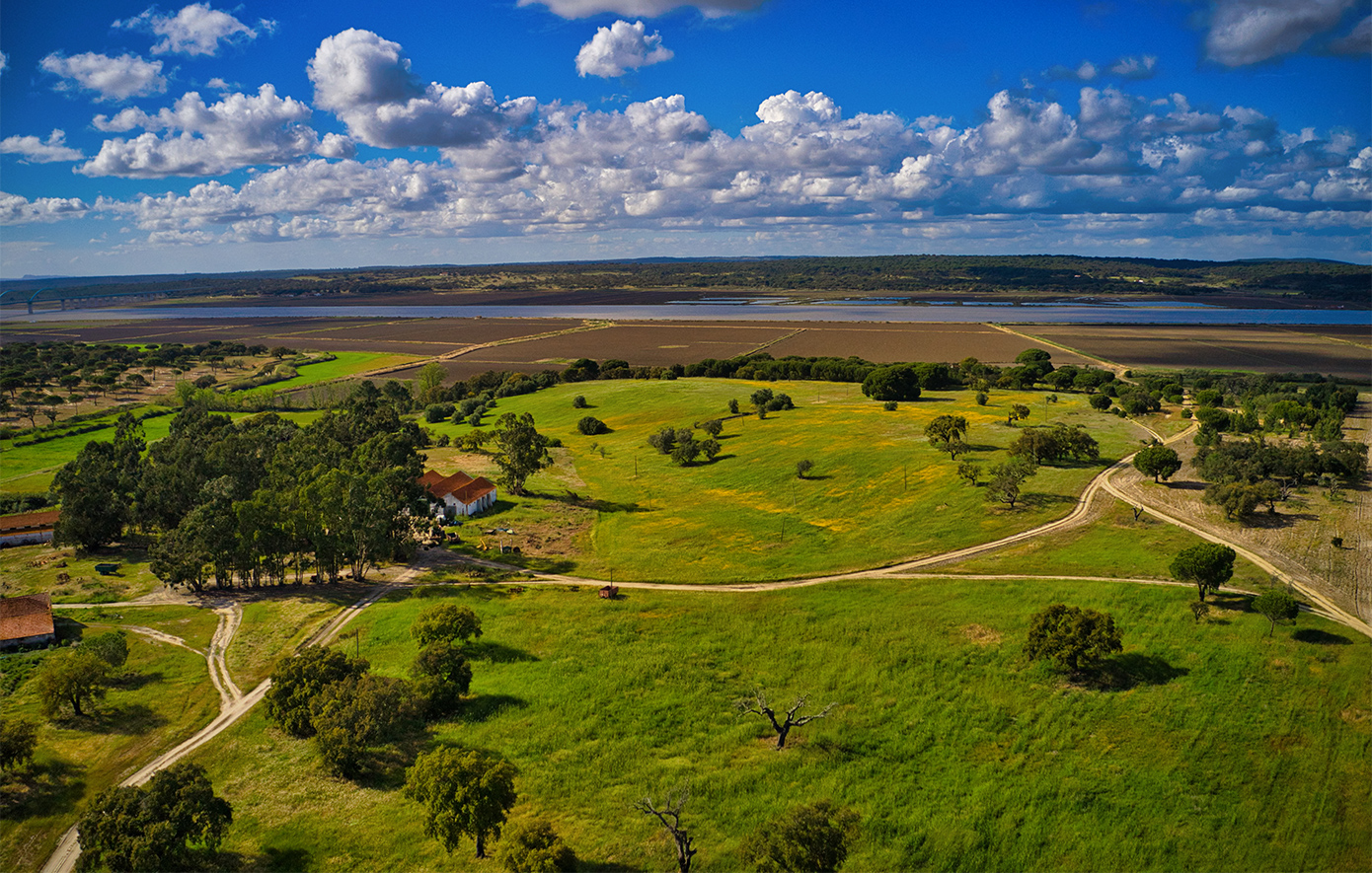 Κομπόρτα, τα Χάμπτονς της Πορτογαλίας