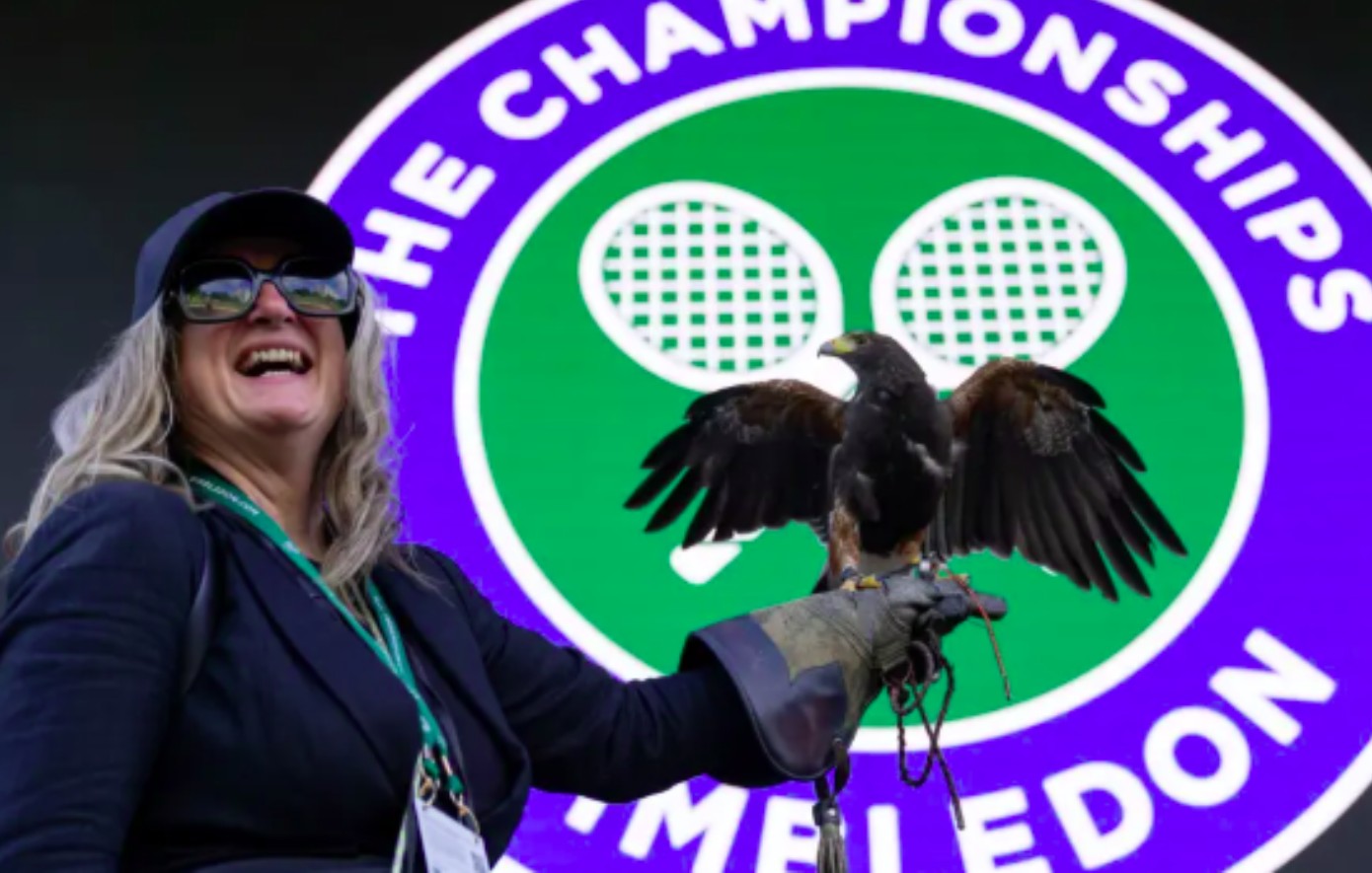 Wimbledon: Γκέι το γεράκι &#8211; σύμβολο του τουρνουά, λένε οι Άγγλοι