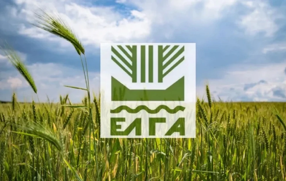 ΕΛΓΑ: Καταβολή 6,2 εκατομμυρίων ευρώ σε παραγωγούς &#8211; Αποζημιώσεις για τις καταστροφές από «Daniel» και «Elias»