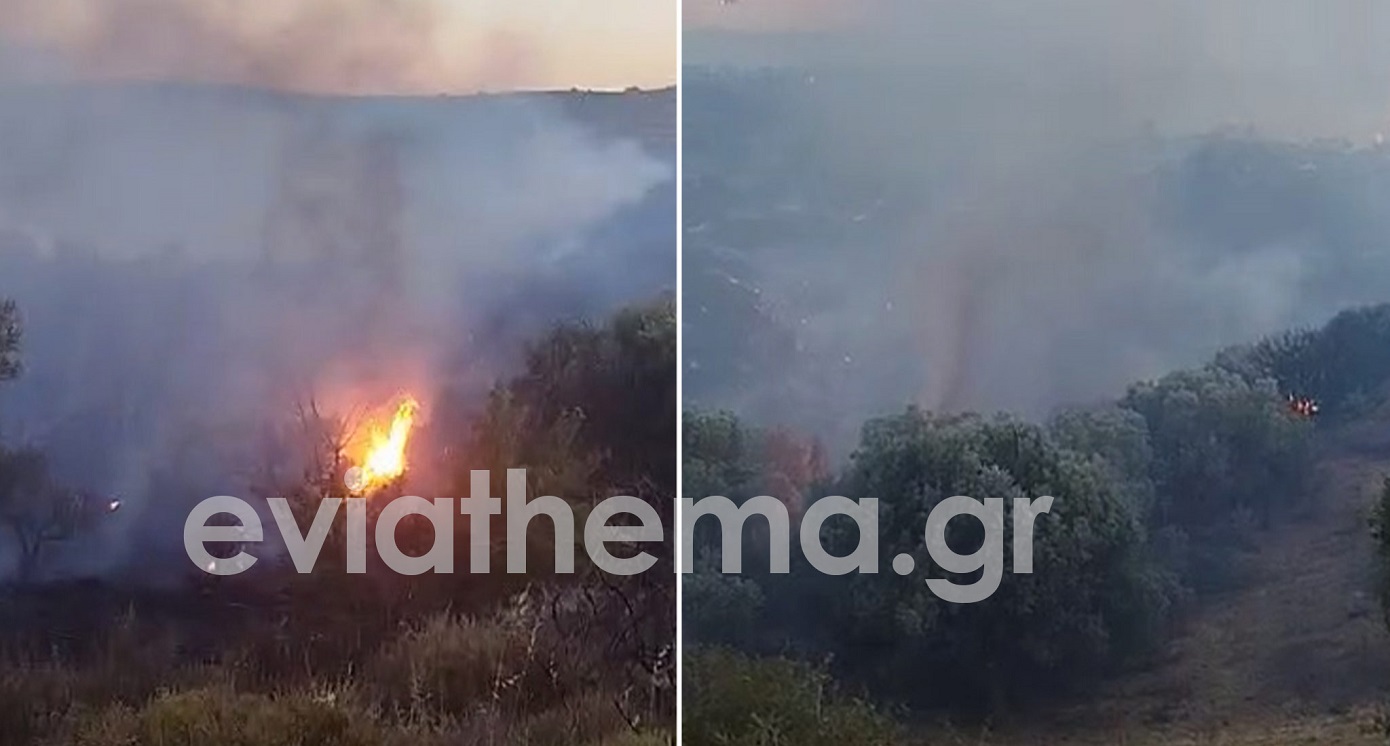 Μεγάλη φωτιά στην Εύβοια: Επιχειρούν 14 αεροσκάφη και 4 ελικόπτερα &#8211;  Μήνυμα του 112 για εκκένωση των Τσακαίων