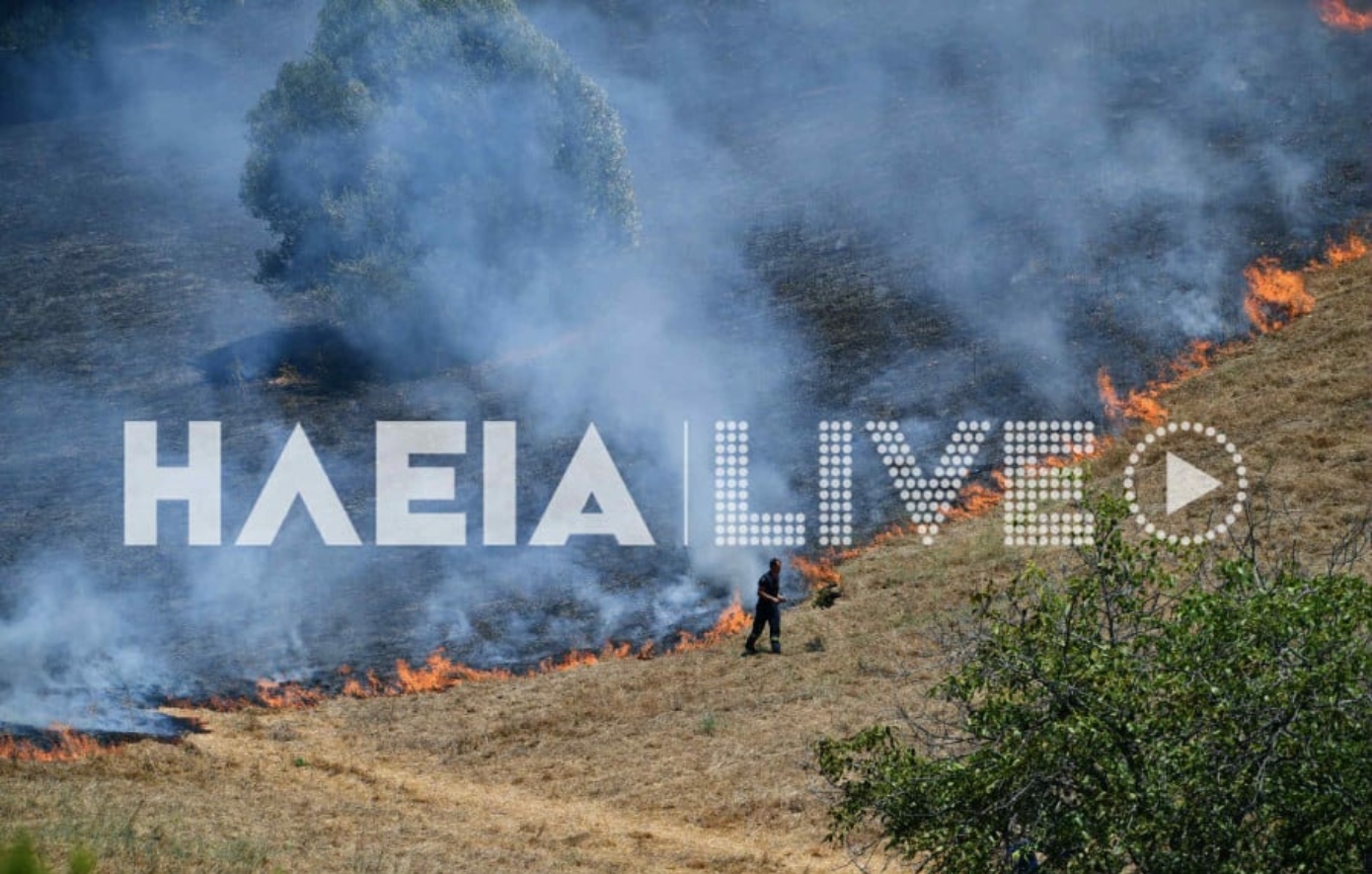 Υπό έλεγχο η φωτιά στην Αρχαία Ολυμπία &#8211; Παραμένουν στο σημείο δυνάμεις της Πυροσβεστικής