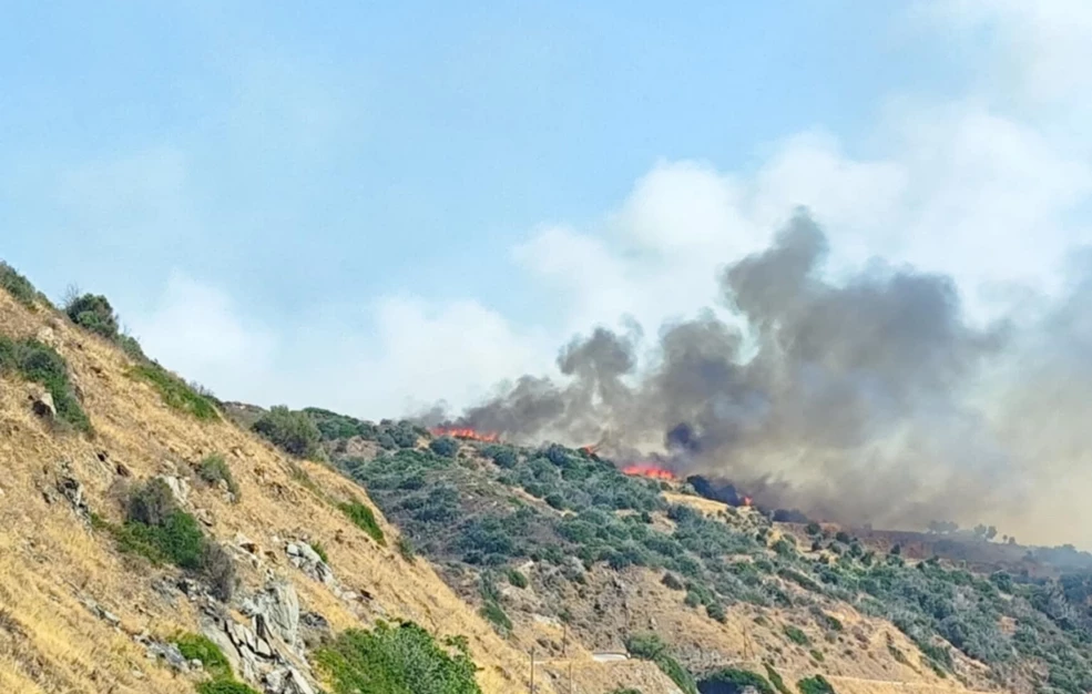 Χωρίς ενεργό μέτωπο η φωτιά στο Λάχι Λακωνίας