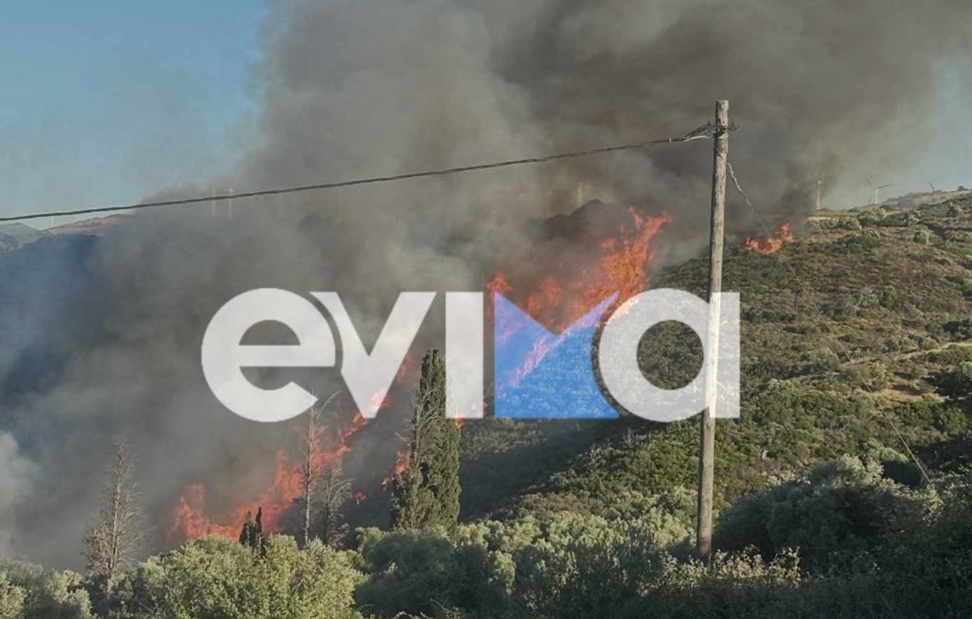 Μεγάλη φωτιά στην Εύβοια &#8211; Επιχειρούν 14 αεροσκάφη και 4 ελικόπτερα, φτάνουν στα πρώτα σπίτια οι φλόγες
