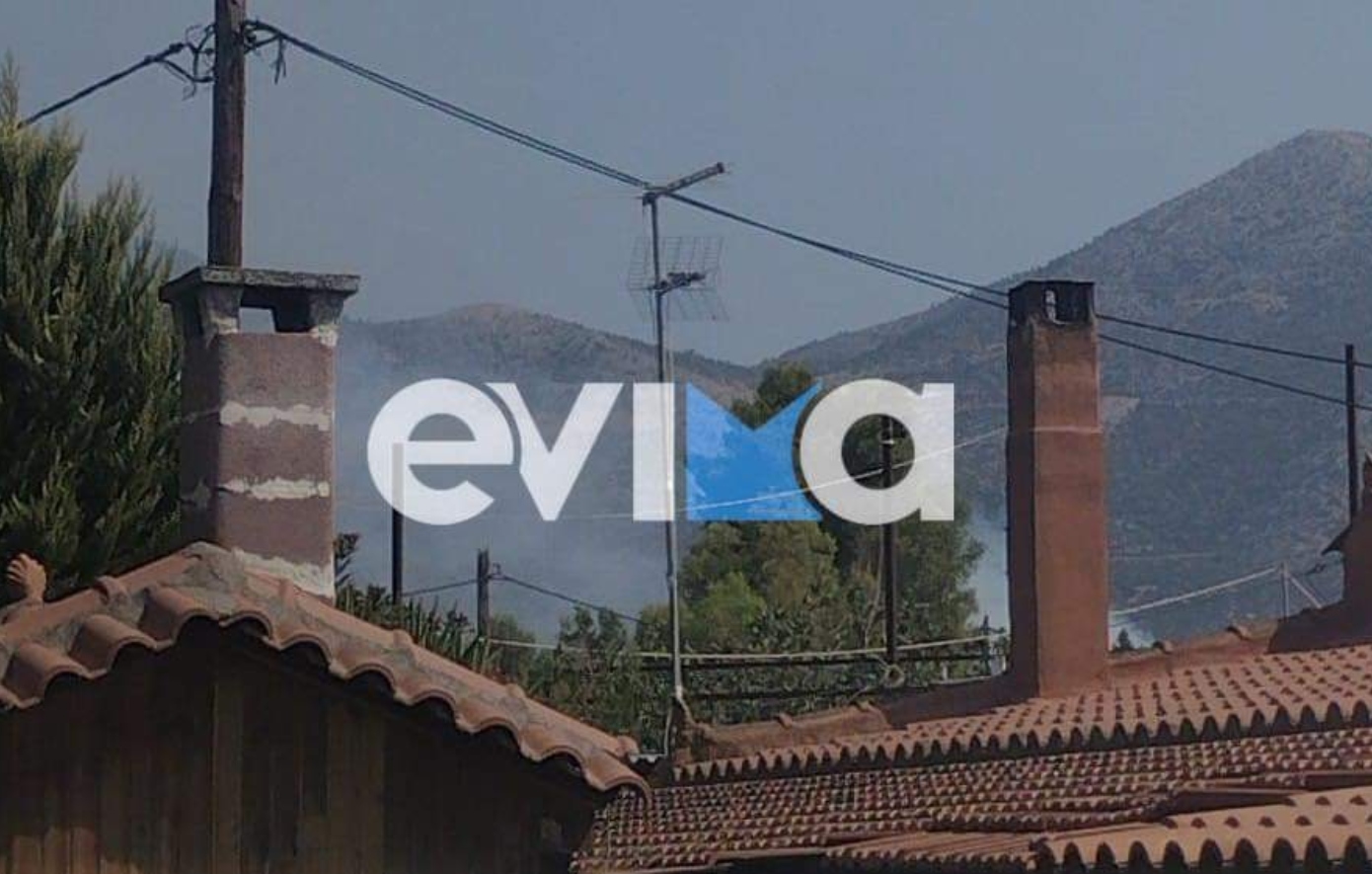 Φωτιά στην Εύβοια, στο χωριό Αργυρό – Ξέσπασε σε αυλή σπιτιού