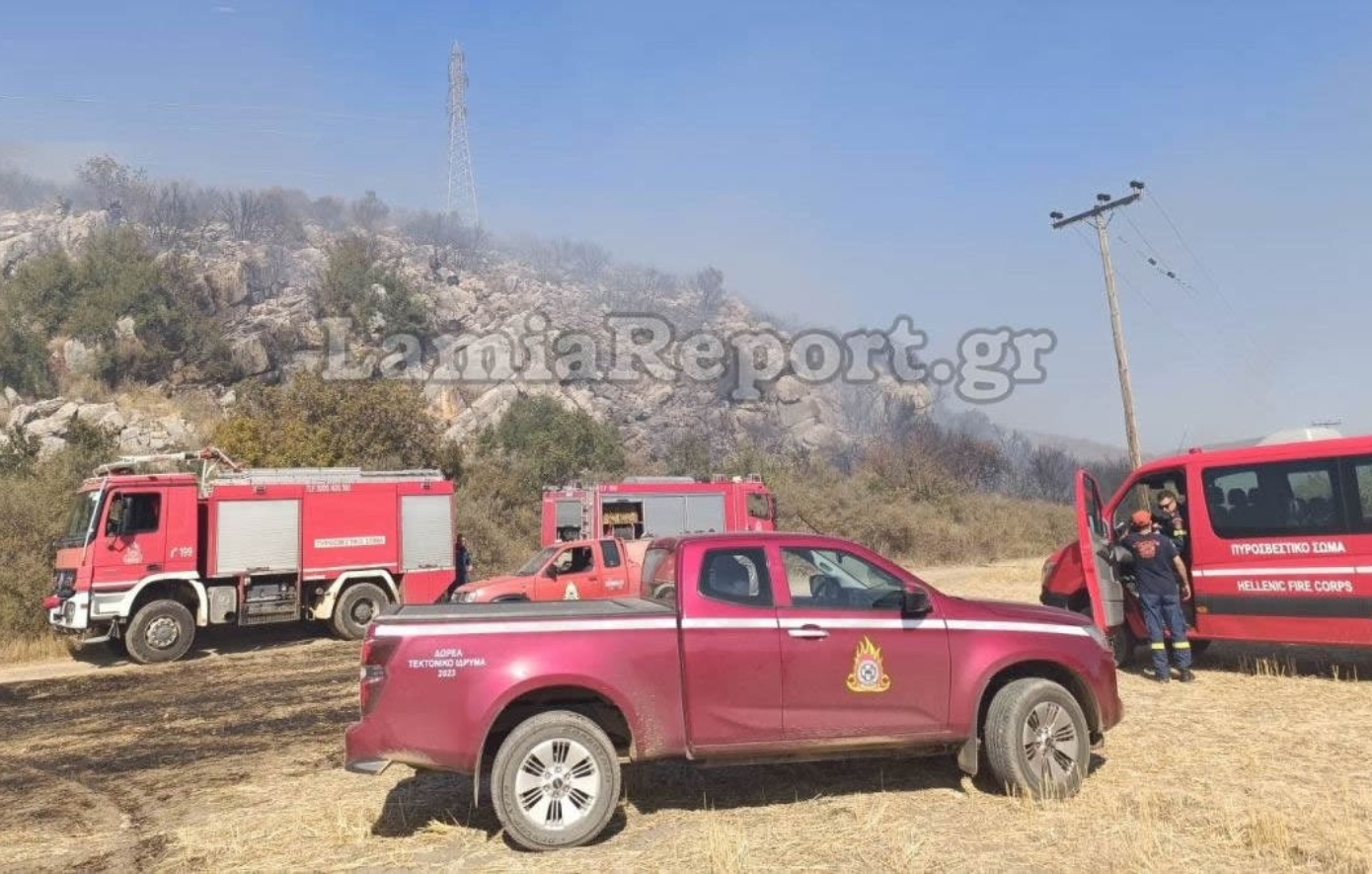 Μεγάλη πυρκαγιά στη Λάρυμνα Φθιώτιδας &#8211; Σηκώθηκαν εναέρια μέσα