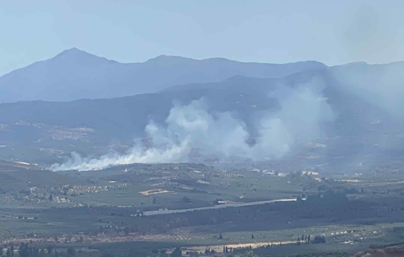 Φωτιά στο Δαφνί Λακωνίας &#8211; Οριοθετήθηκε άμεσα