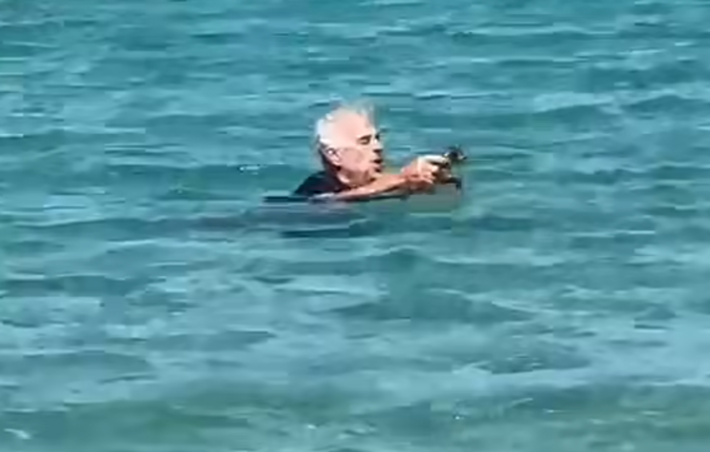 Γάλλος τουρίστας βούτηξε στη θάλασσα για να σώσει γατάκι &#8211; Δείτε το συγκινητικό βίντεο