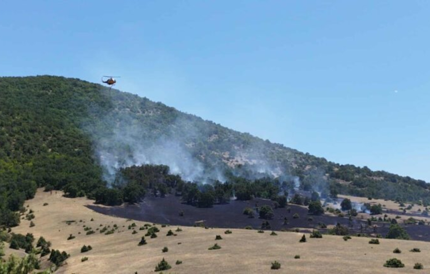 Κοζάνη: Συνελήφθη 75χρονος για τη φωτιά στο Δρέπανο