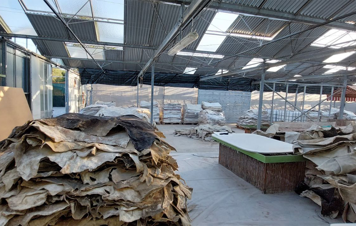 Έφοδοι του ελληνικού FBI σε σπίτια στην Αττική για μεγάλο κύκλωμα κοκαΐνης