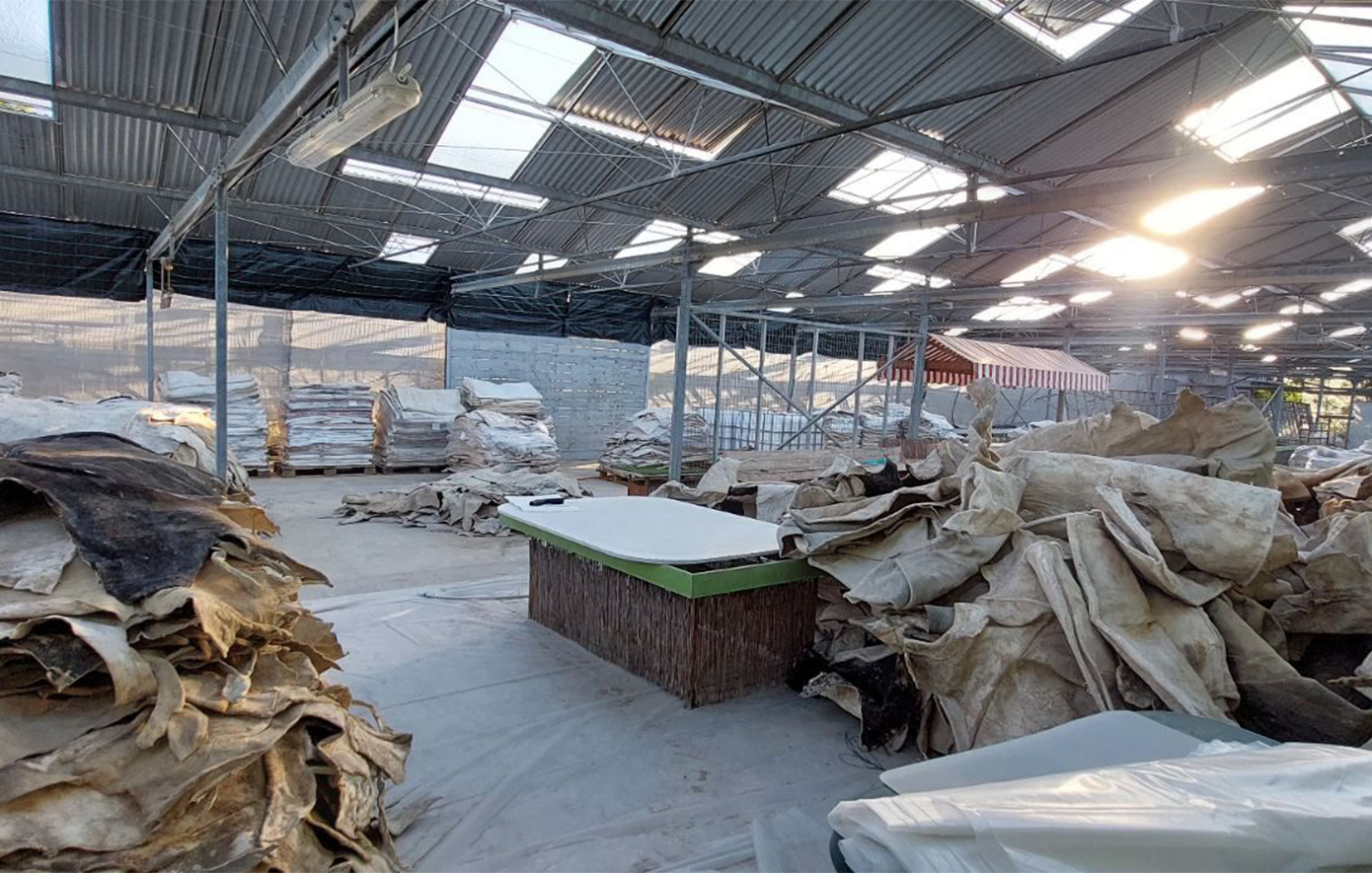 Έφοδοι του ελληνικού FBI σε σπίτια στην Αττική για μεγάλο κύκλωμα κοκαΐνης