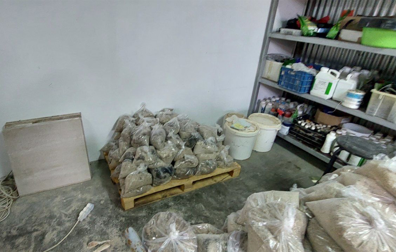 Έφοδοι του ελληνικού FBI σε σπίτια στην Αττική για μεγάλο κύκλωμα κοκαΐνης