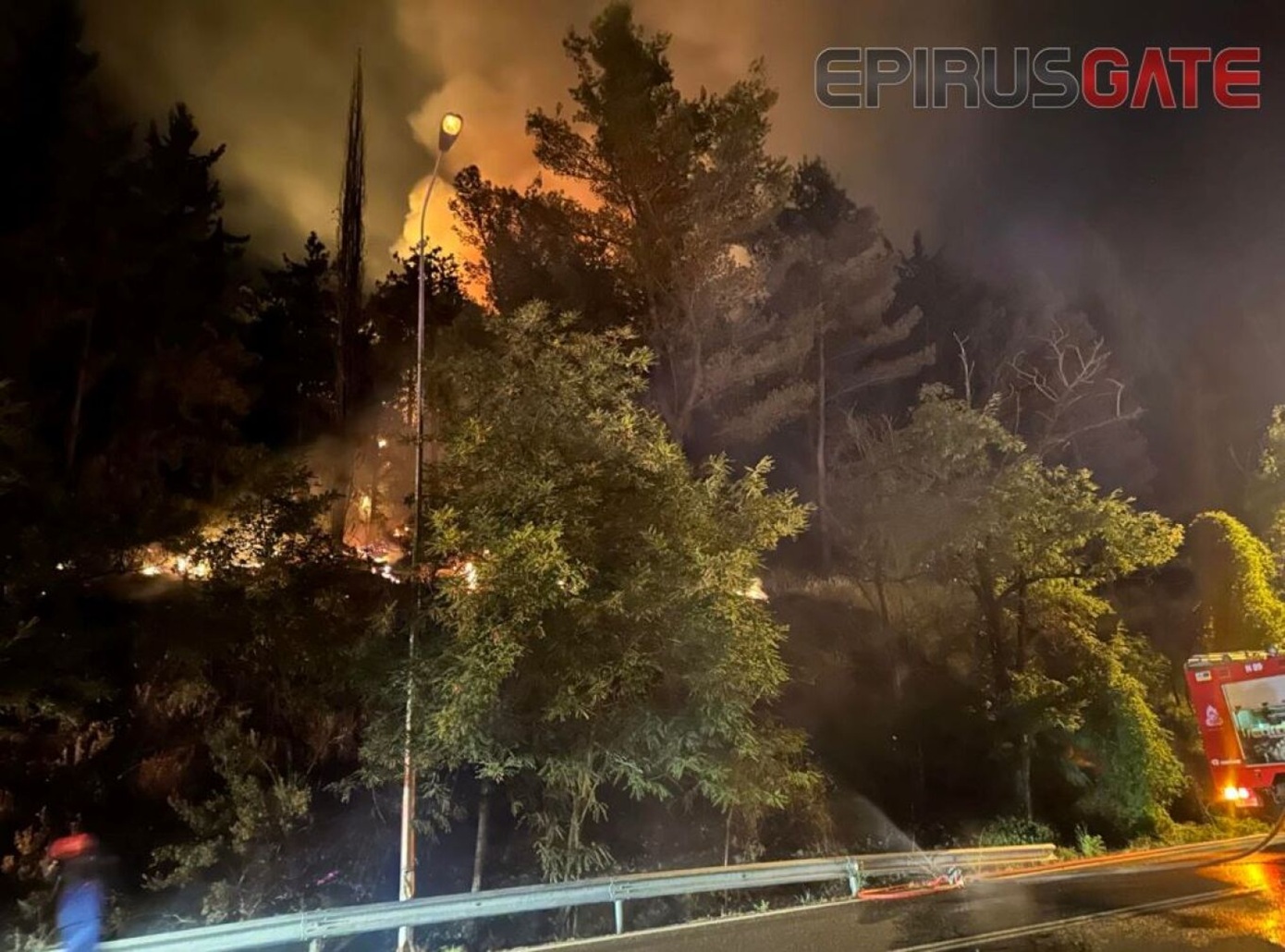 Πυρκαγιά σε δασική περιοχή των Ιωαννίνων – Επί ποδός η Πυροσβεστική