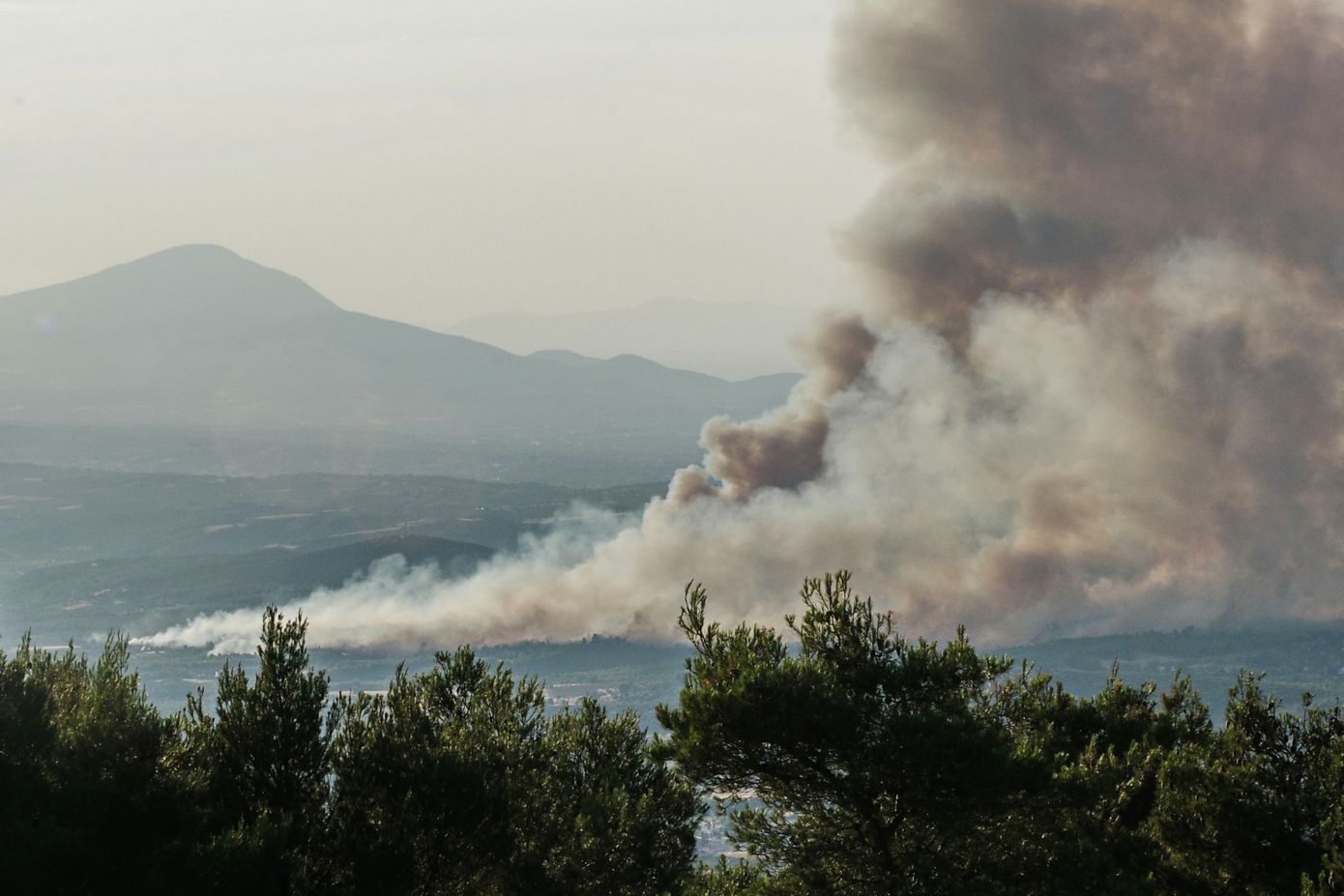 Φωτιά στο Ασπροχώρι Ωρωπού: Μάχη με τις αναζωπυρώσεις, ξεκίνησαν τα εναέρια μέσα
