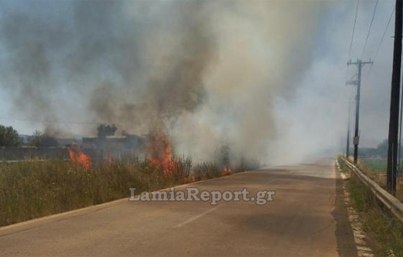 Φωτιά στην εθνική οδό Αθηνών-Λαμίας, έξω από τη Θήβα