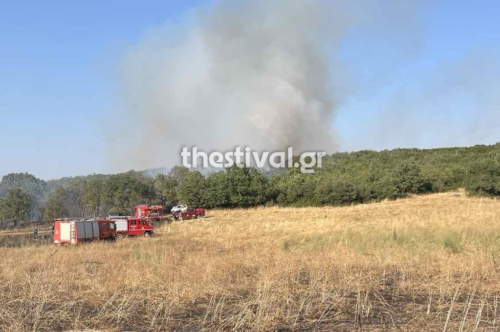 Φωτιά στο δάσος Φιλύρου στη Θεσσαλονίκη: Μήνυμα για ετοιμότητα από το 112 &#8211; Επιχειρούν 5 αεροσκάφη και 2 ελικόπτερα