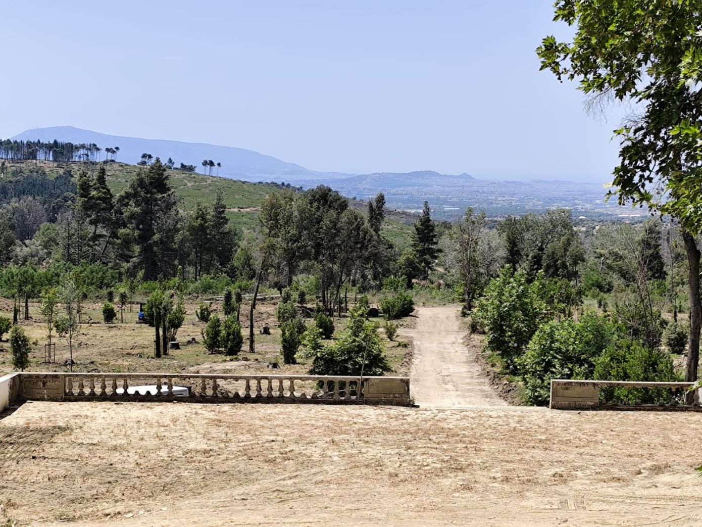 Σε πλήρη εξέλιξη τα έργα στο πρώην βασιλικό κτήμα στο Τατόι με ορίζοντα απόδοσης των μουσειακών υποδομών το 2026