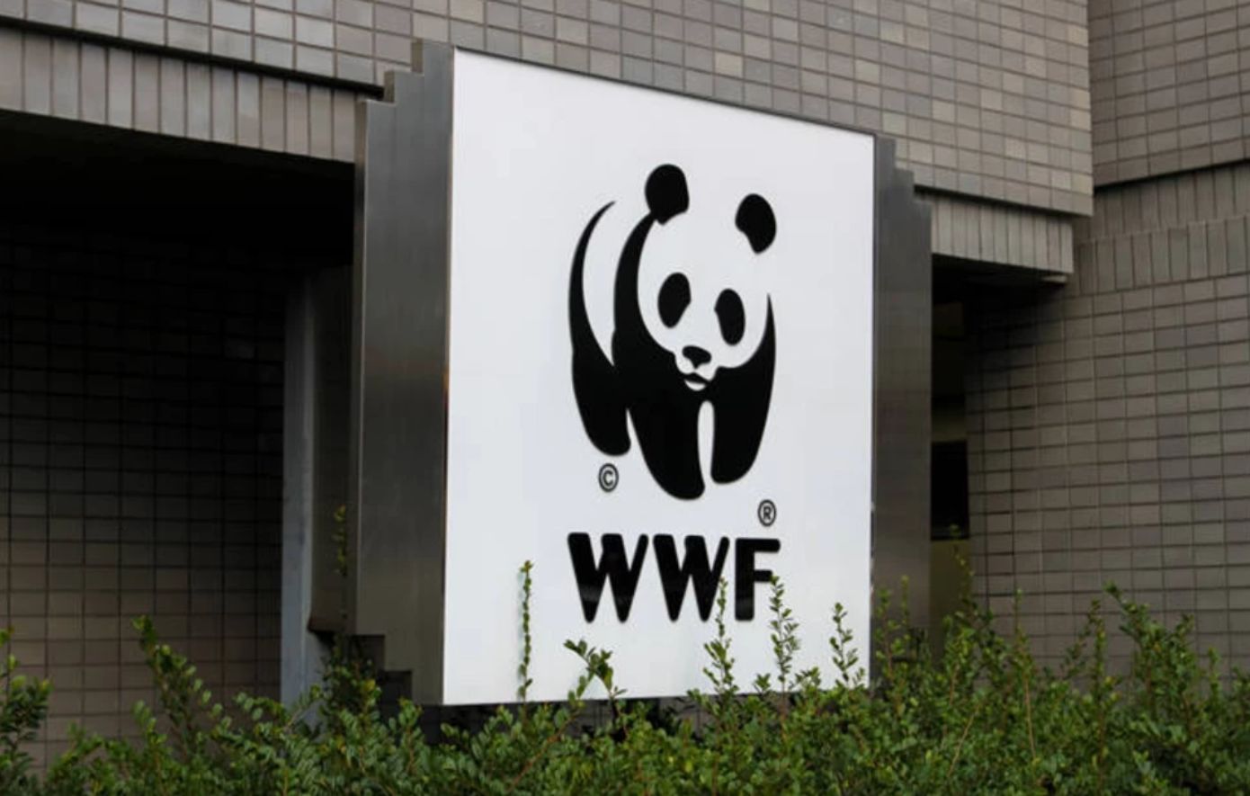 WWF για τα θαλάσσια πάρκα που ανακοίνωσε ο Μητσοτάκης: «Είναι αναμφίβολα μια πολύ σημαντική πρωτοβουλία της κυβέρνησης»