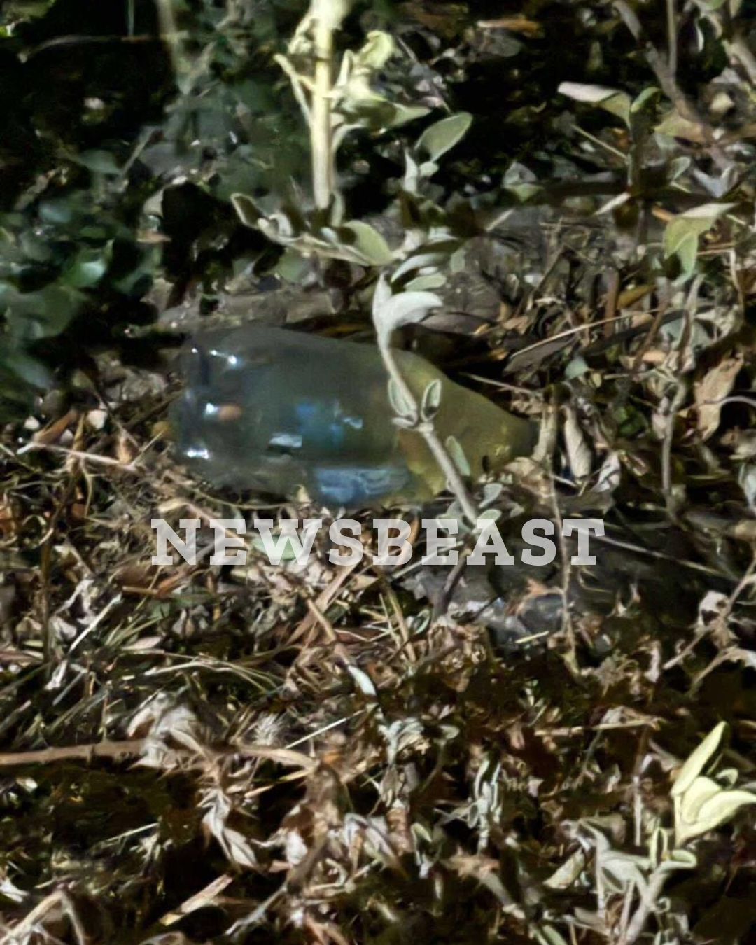 εμπρηστες πατρα