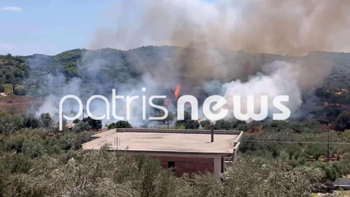 Οριοθετήθηκε πλήρως η φωτιά στον Ελαιώνα Πύργου &#8211; Η έγκαιρη επέμβαση της Πυροσβεστικής έσωσε σπίτια από τις φλόγες