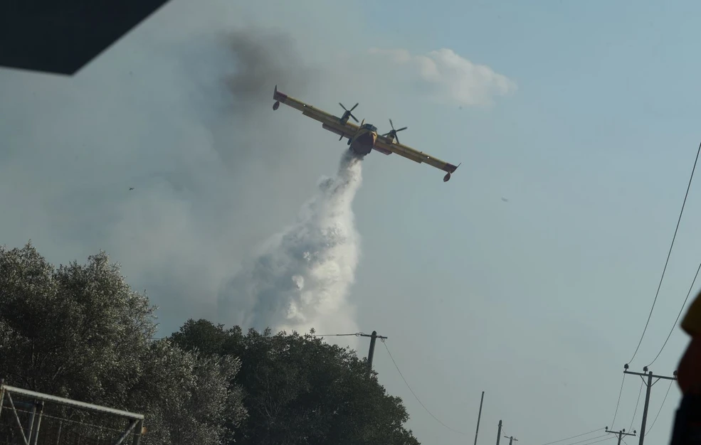 Φωτιά στον Κουβαρά Αττικής &#8211; Επιχειρούν και εναέρια μέσα