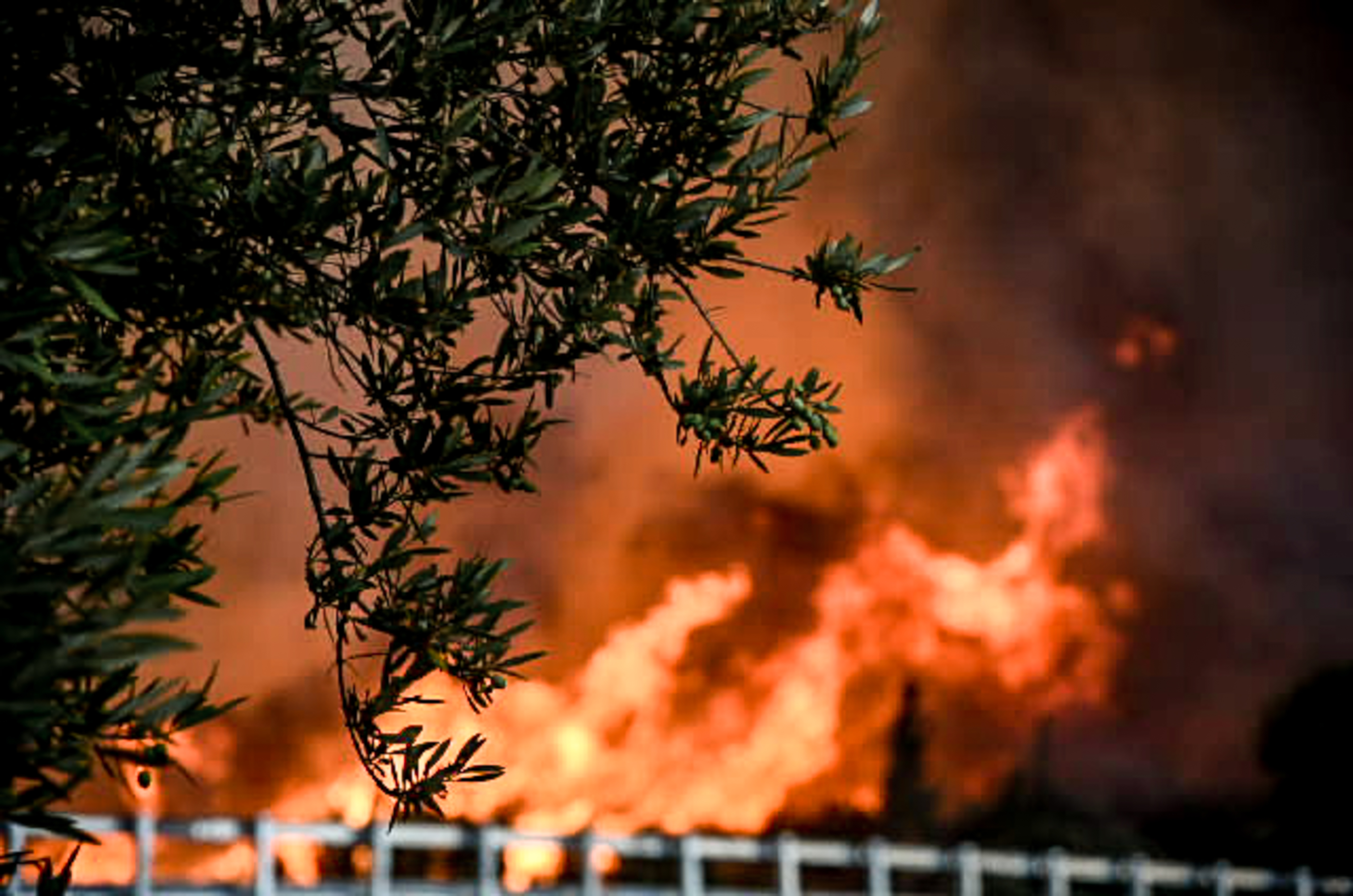 Δείτε live τα πύρινα μέτωπα από δορυφόρους της NASA