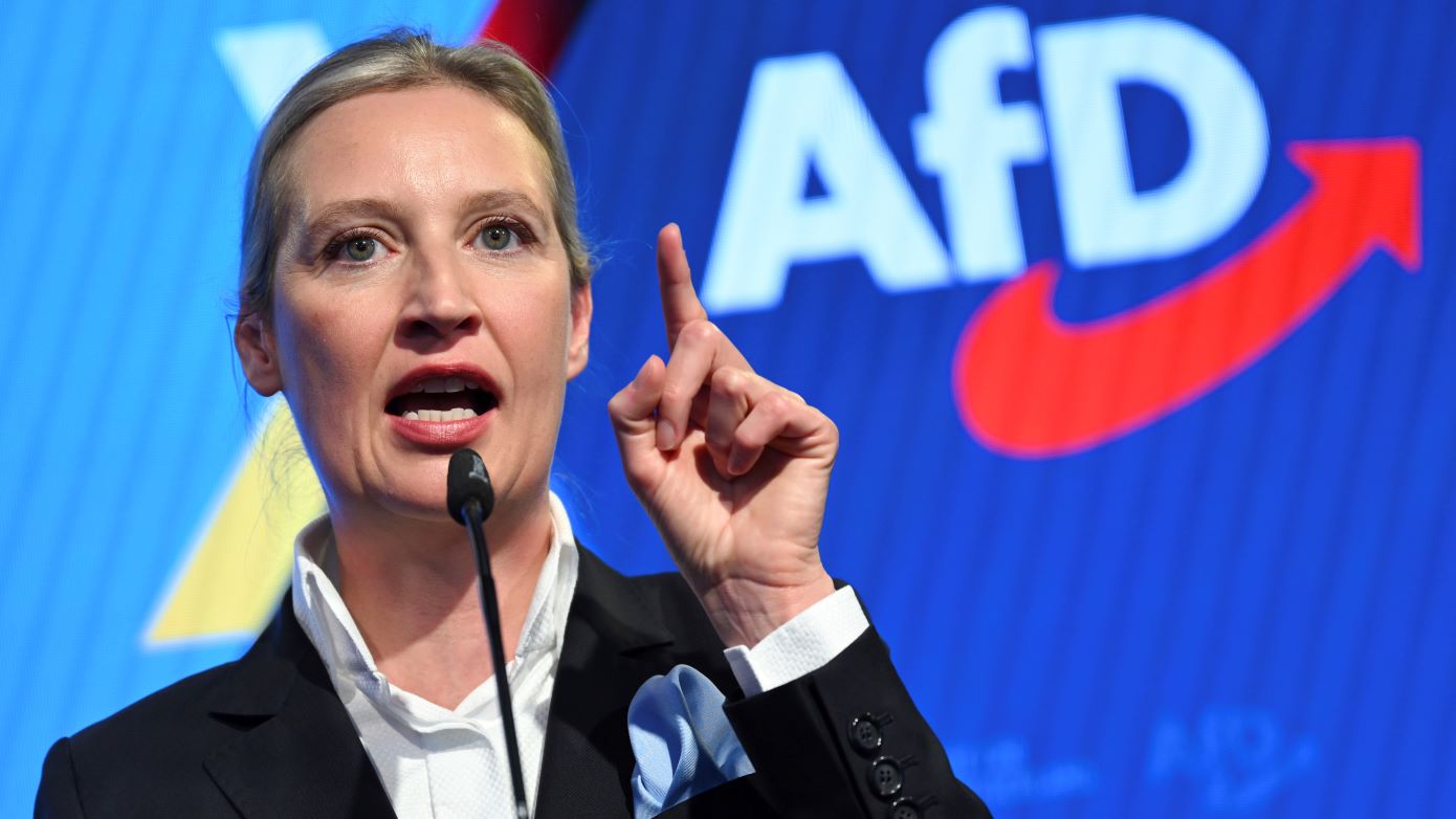 Στο 25% ανέβηκε το ακροδεξιό AfD στη Γερμανία, σύμφωνα με δημοσκόπηση για λογαριασμό της Bild