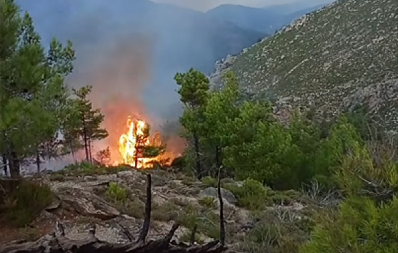 Τέσσερα πύρινα μέτωπα στη Θάσο – Επιχειρούν εναέρια μέσα