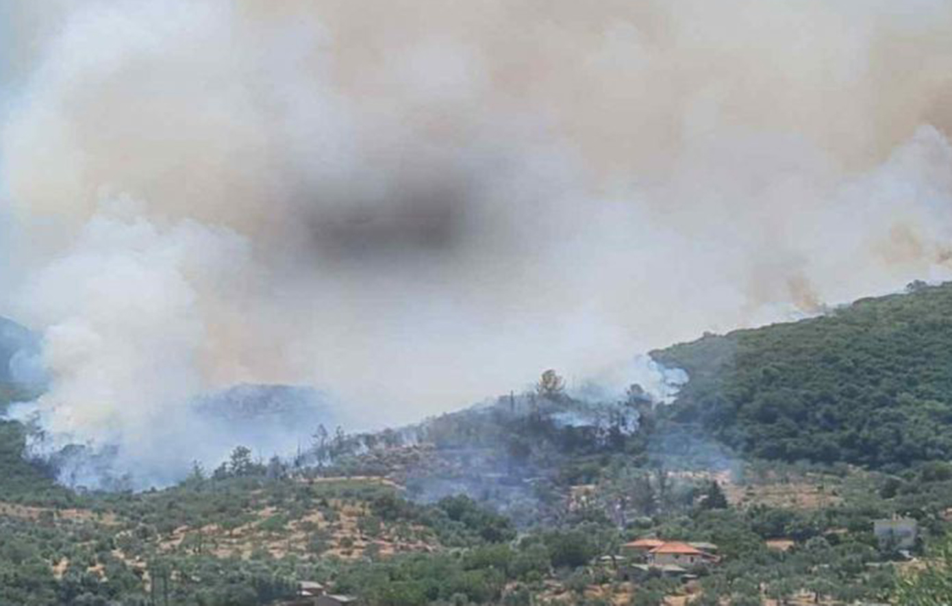 Φωτιά στον Αμμότοπο Άρτας