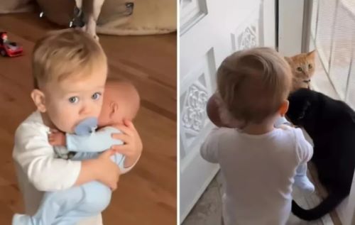«Υπάρχει χώρος μόνο για ένα μωρό»: Το σατανικά τρυφερό σχέδιο ενός 17μηνου αγοριού