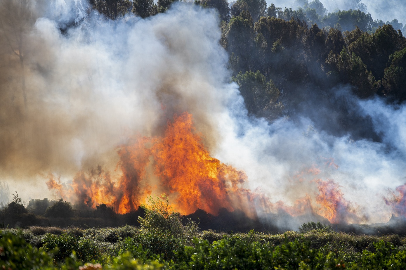 Εκκενώνονται ξενοδοχεία και κάμπινγκ στην Ισπανία λόγω μεγάλης δασικής πυρκαγιάς