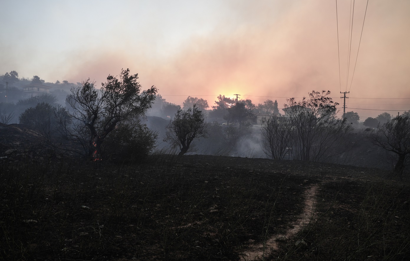 Για κακούργημα κατηγορείται ο δημοτικός υπάλληλος που συνελήφθη για εμπρησμούς στην Παλλήνη