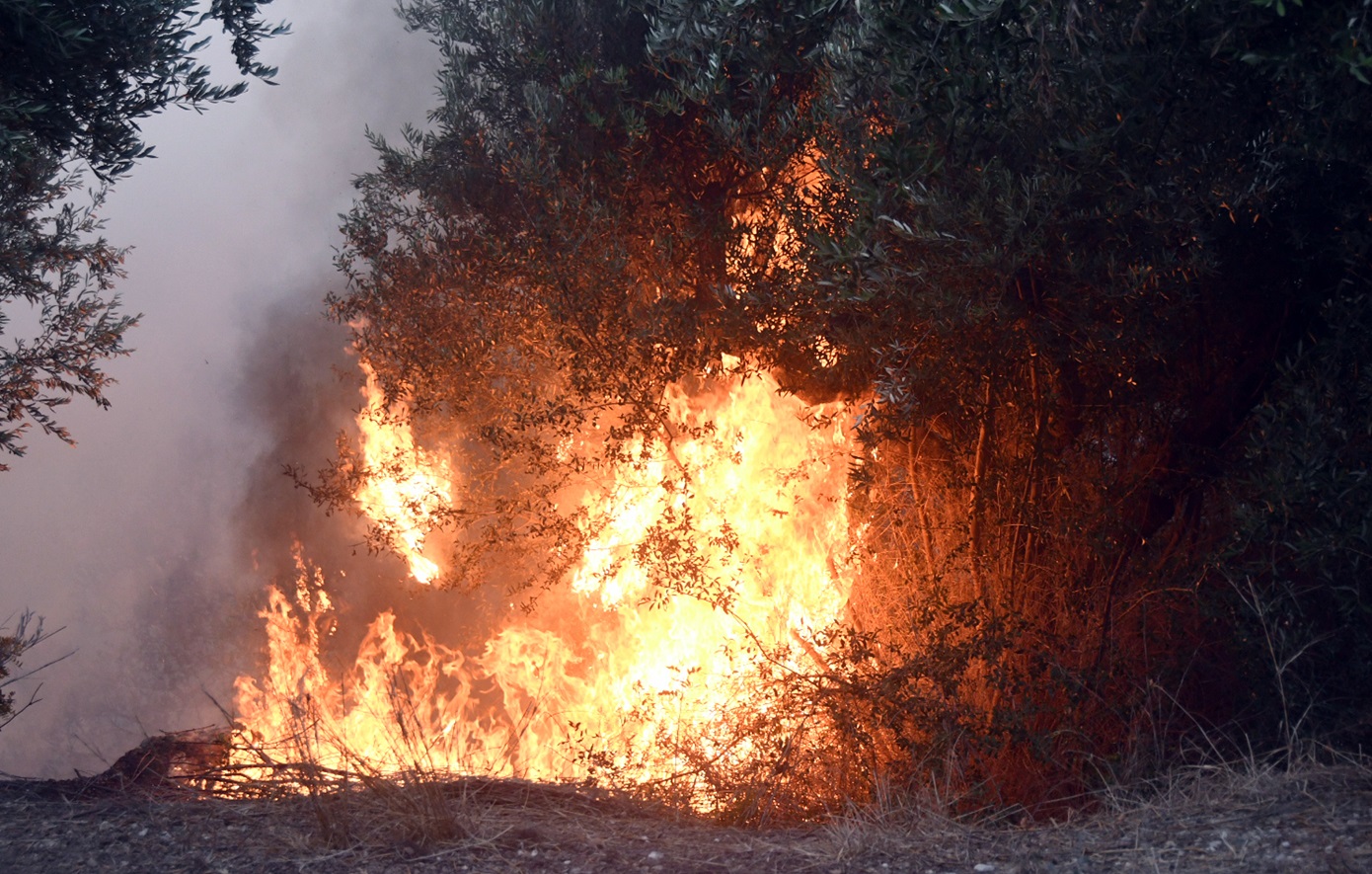 Φωτιά στη Μεσσηνία &#8211; Πλησιάζει σπίτια στον Μελιγαλά, μήνυμα του 112 για απομάκρυνση από την περιοχή