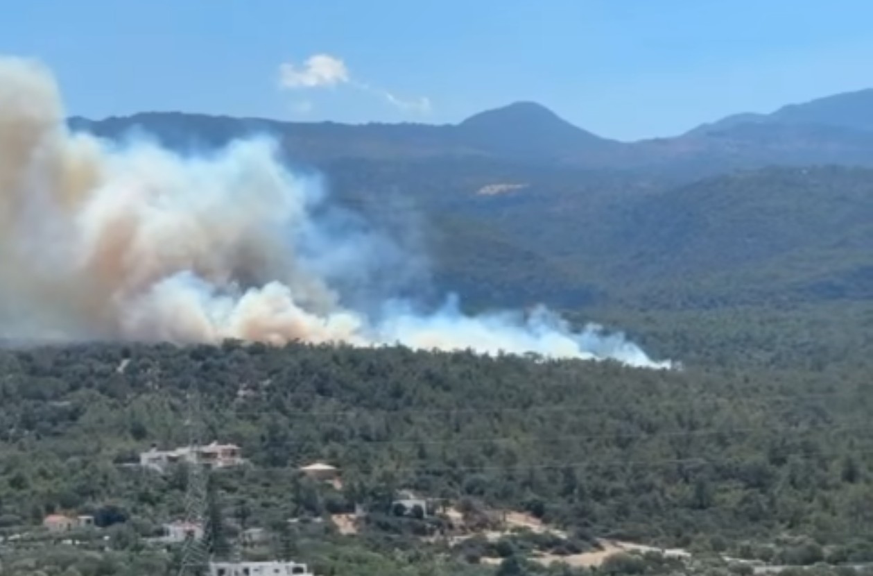 Συναγερμός στον Άγιο Νικόλαο Κρήτης: Φωτιά σε δασική έκταση στο Βαθύ &#8211; Ήχησε το 112 για ετοιμότητα