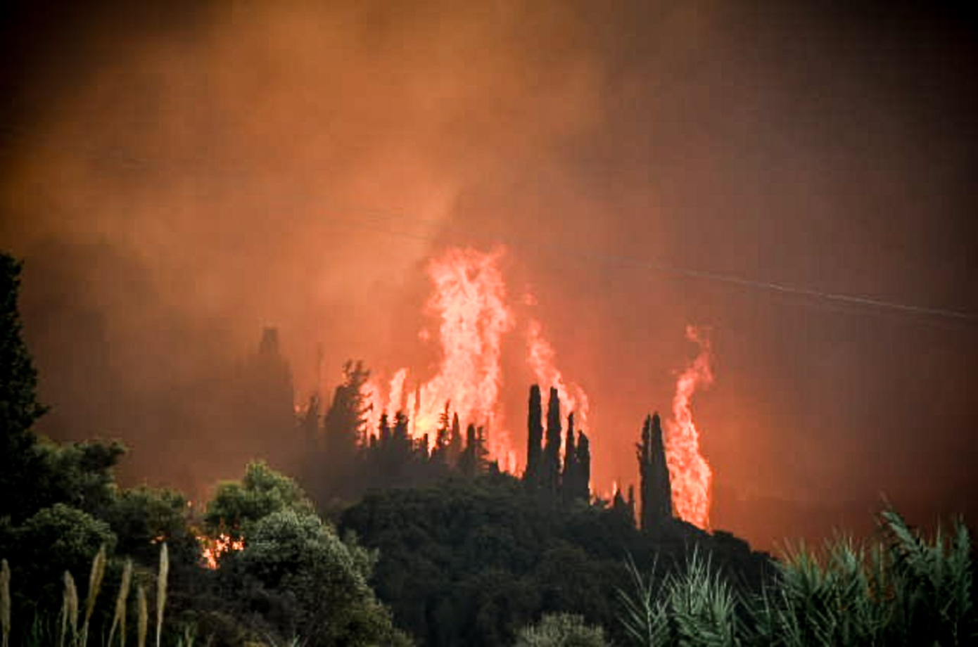 Νύχτα κόλαση στην Κάτω Αχαΐα: Νέα πυρκαγιά στα Συχαινά – Απομακρύνονται οι πολίτες