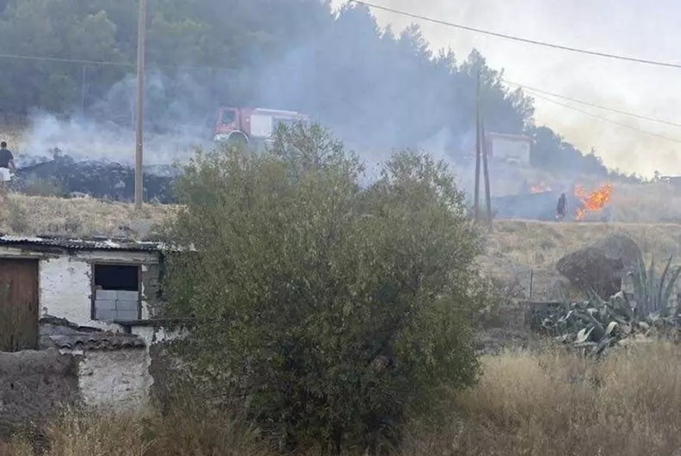 Ανήλικος άναψε φωτιά στα Δάφια Λέσβου επειδή τον ενοχλούσαν τα χόρτα – Συνελήφθη