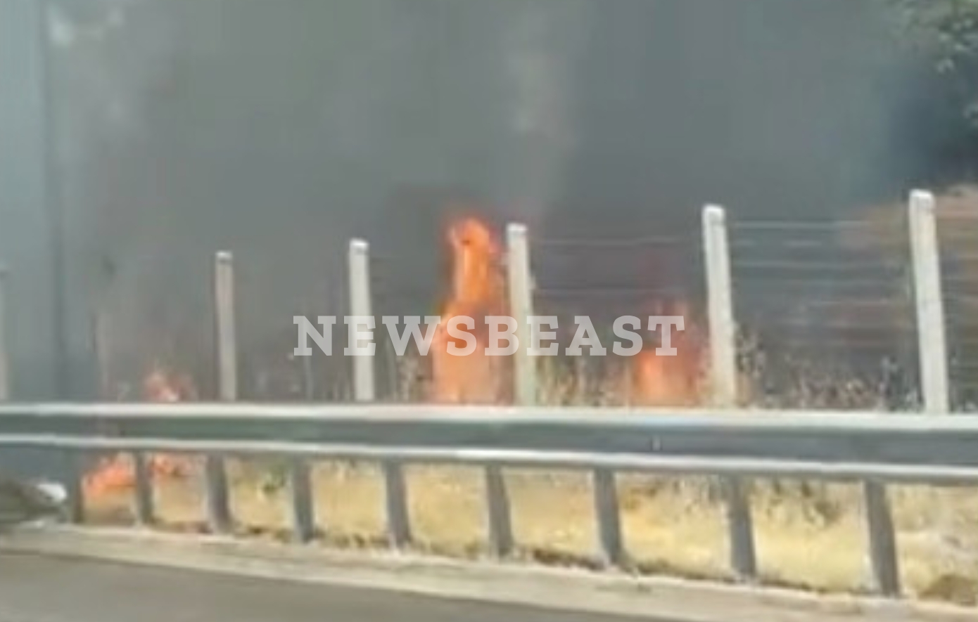 Φωτιά σε χαμηλή βλάστηση δίπλα στην Εθνική οδό στα Οινόφυτα