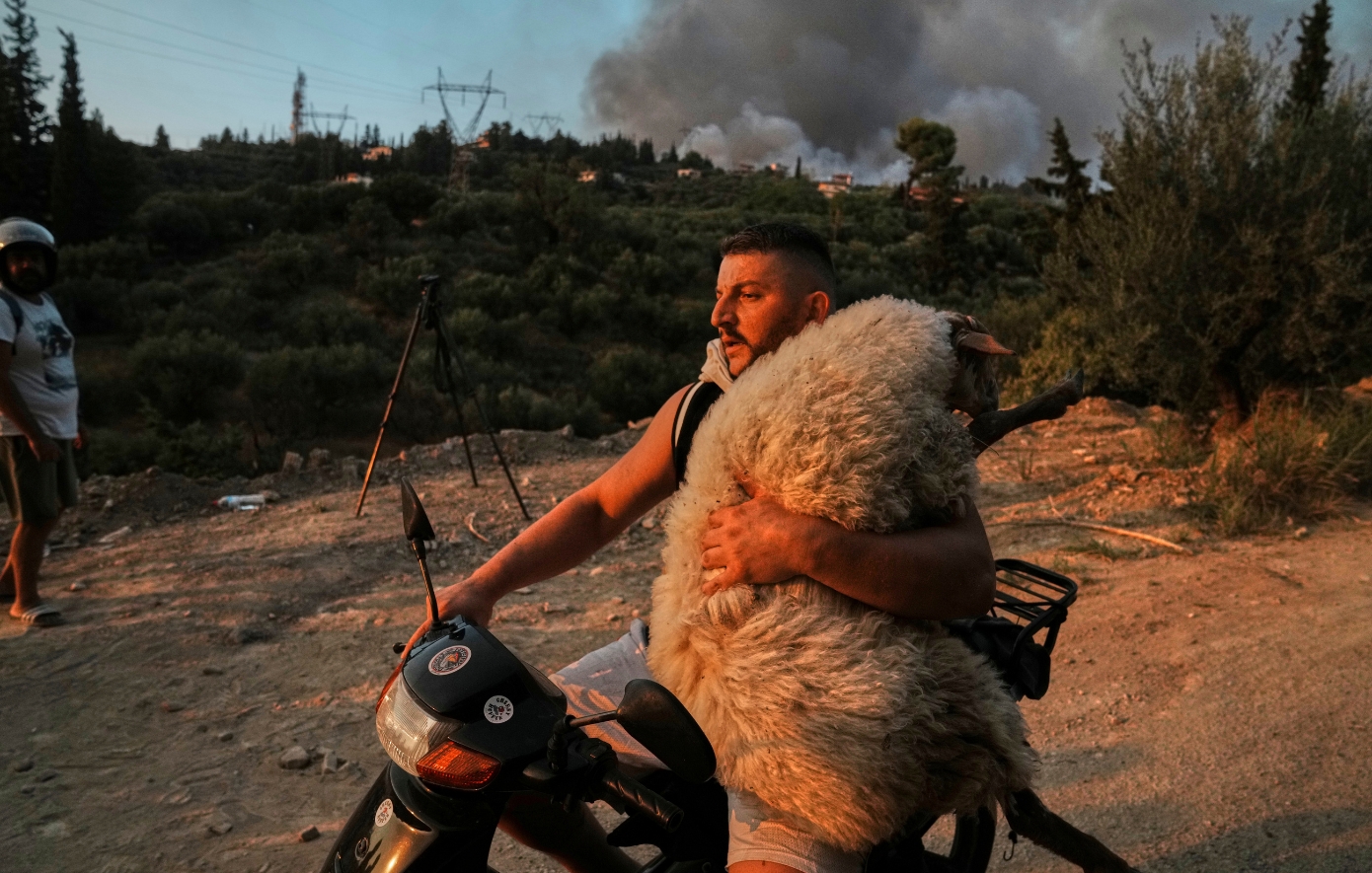 Η ανθρωπιά σε μια εικόνα: Ο νεαρός που έσωσε πρόβατο από τις φλόγες στην Πάτρα, αγκαλιά πάνω σε μηχανάκι