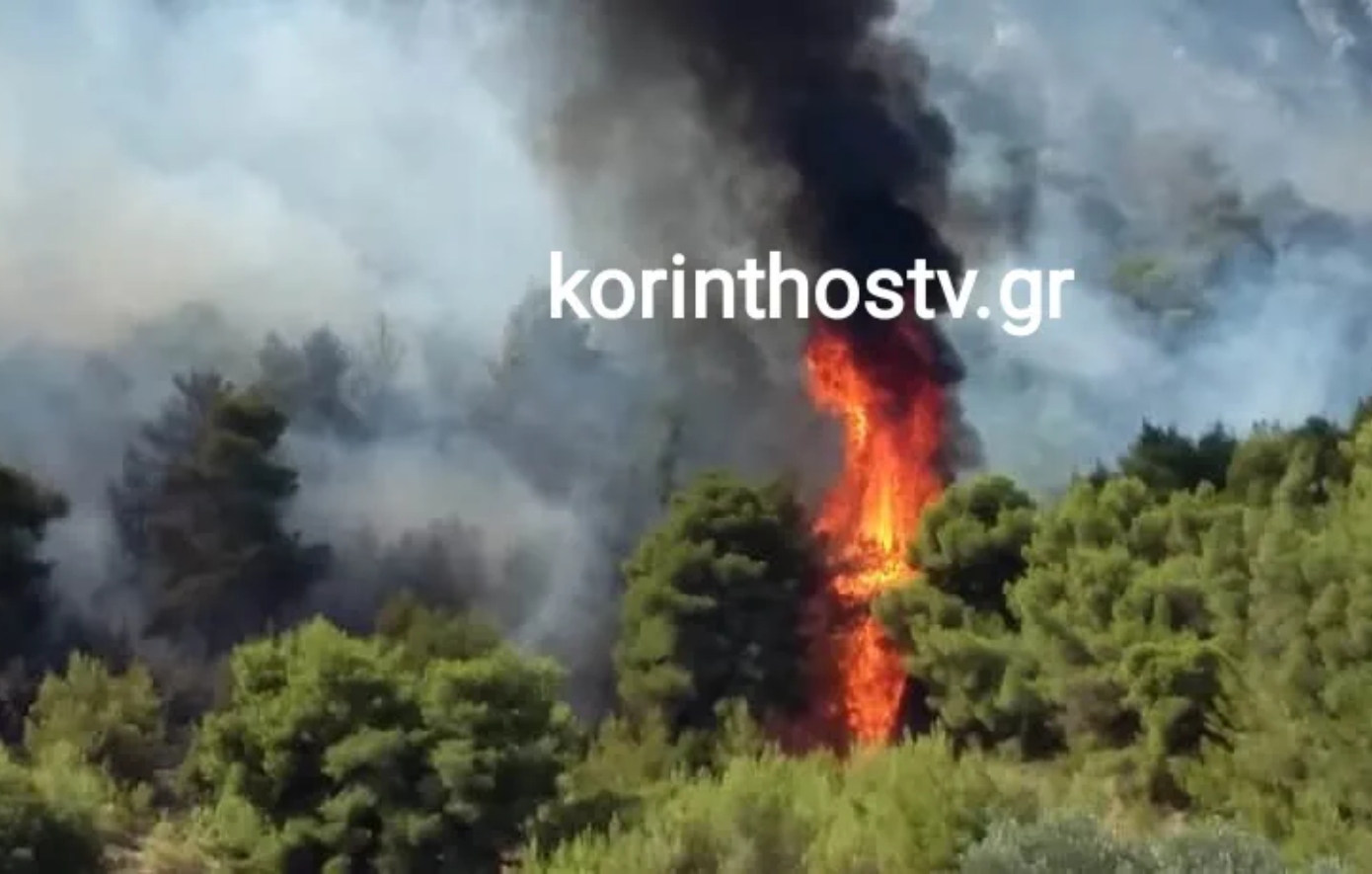 Φωτιά στην Αρχαία Νεμέα Κορινθίας &#8211; Μήνυμα 112 για εκκένωση, επιχειρούν 6 αεροσκάφη και 1 ελικόπερο