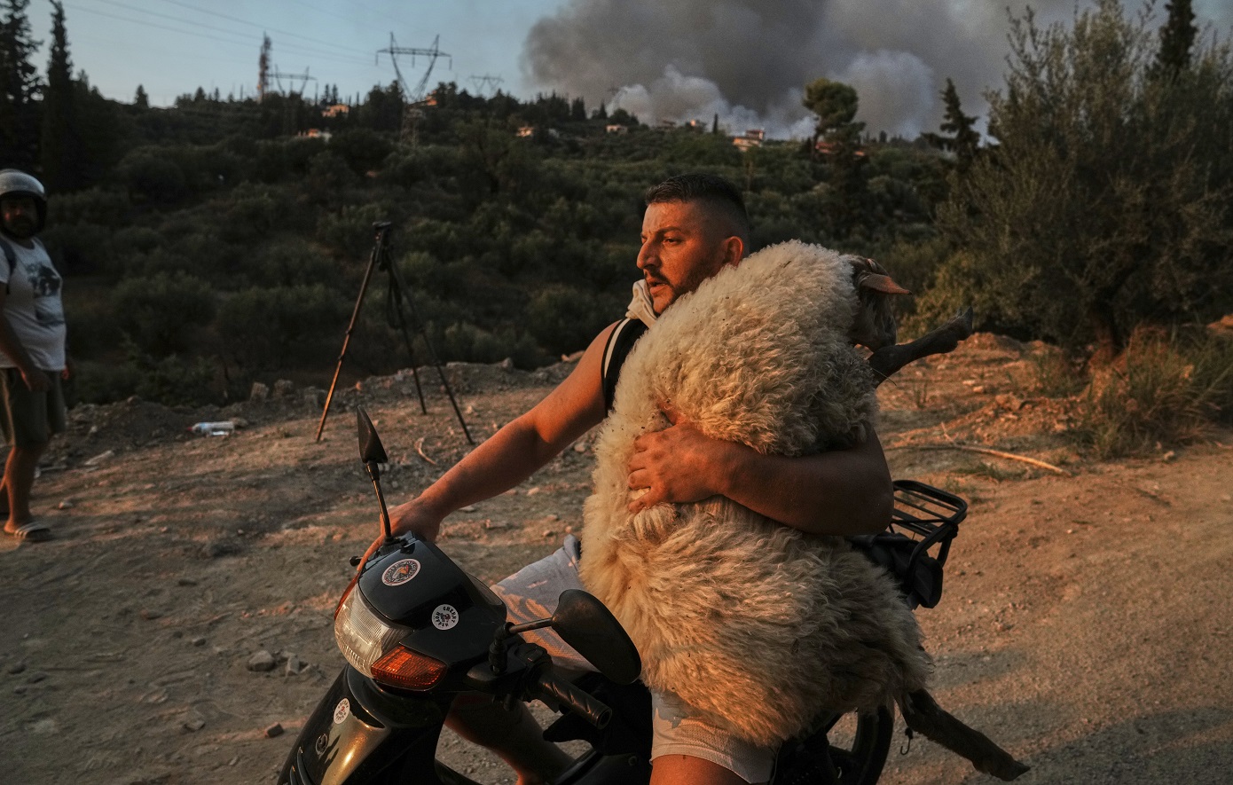 Ολσιέν Μουτσομπέγκα: «Είμαι τρελάκιας με τα ζώα» &#8211; Ο 33χρονος Αλβανός που έγινε viral με το πρόβατο πάνω στη μηχανή
