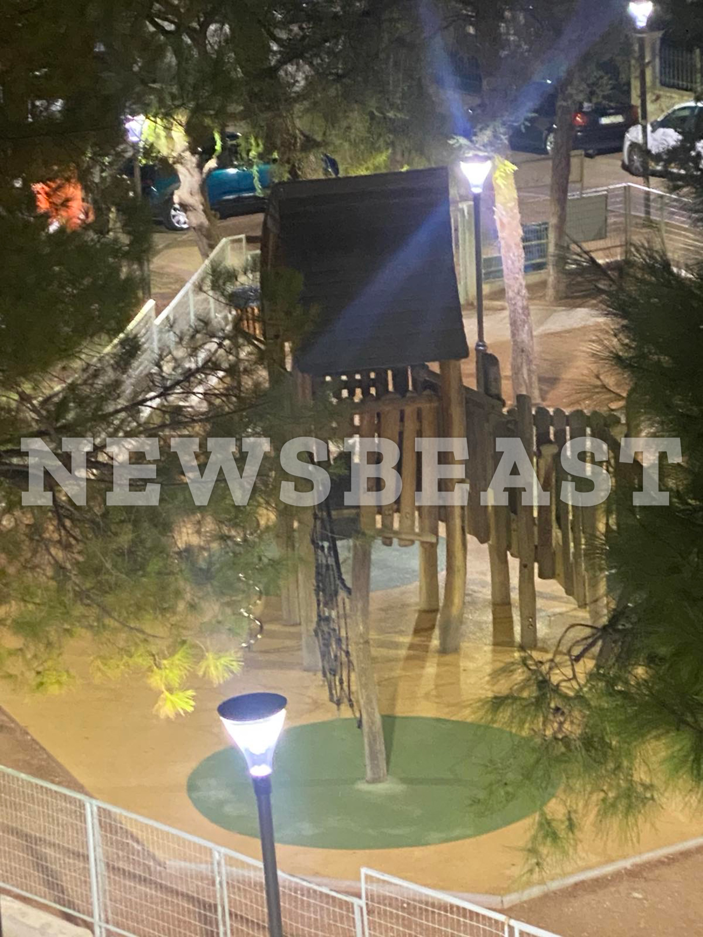 Αλεπούδες στην Πετρούπολη