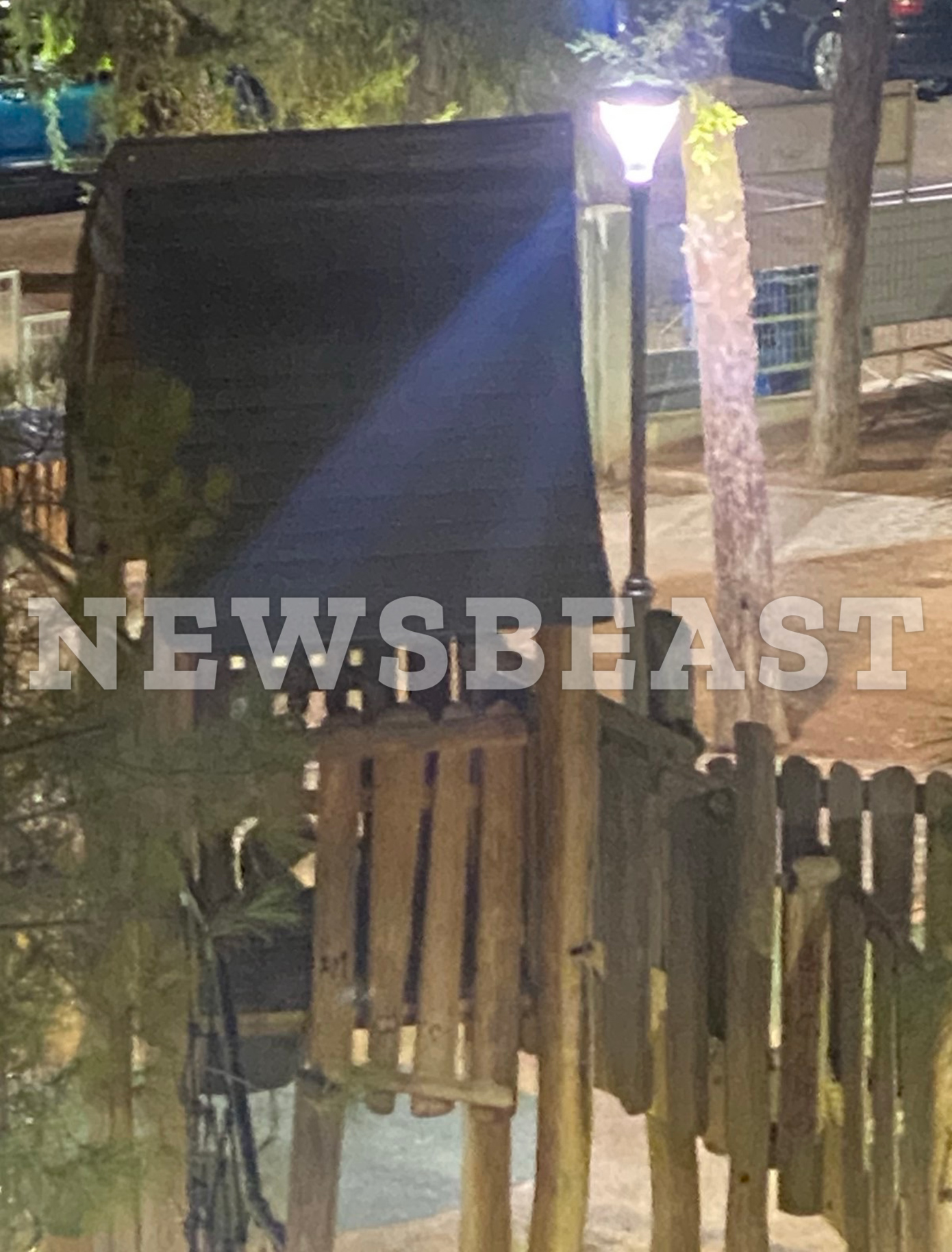 Αλεπούδες στην Πετρούπολη