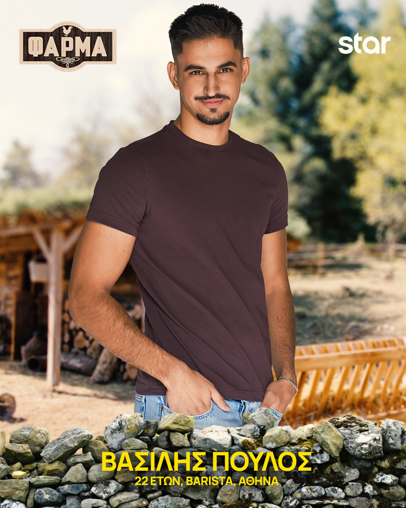 Βασίλης Πούλος