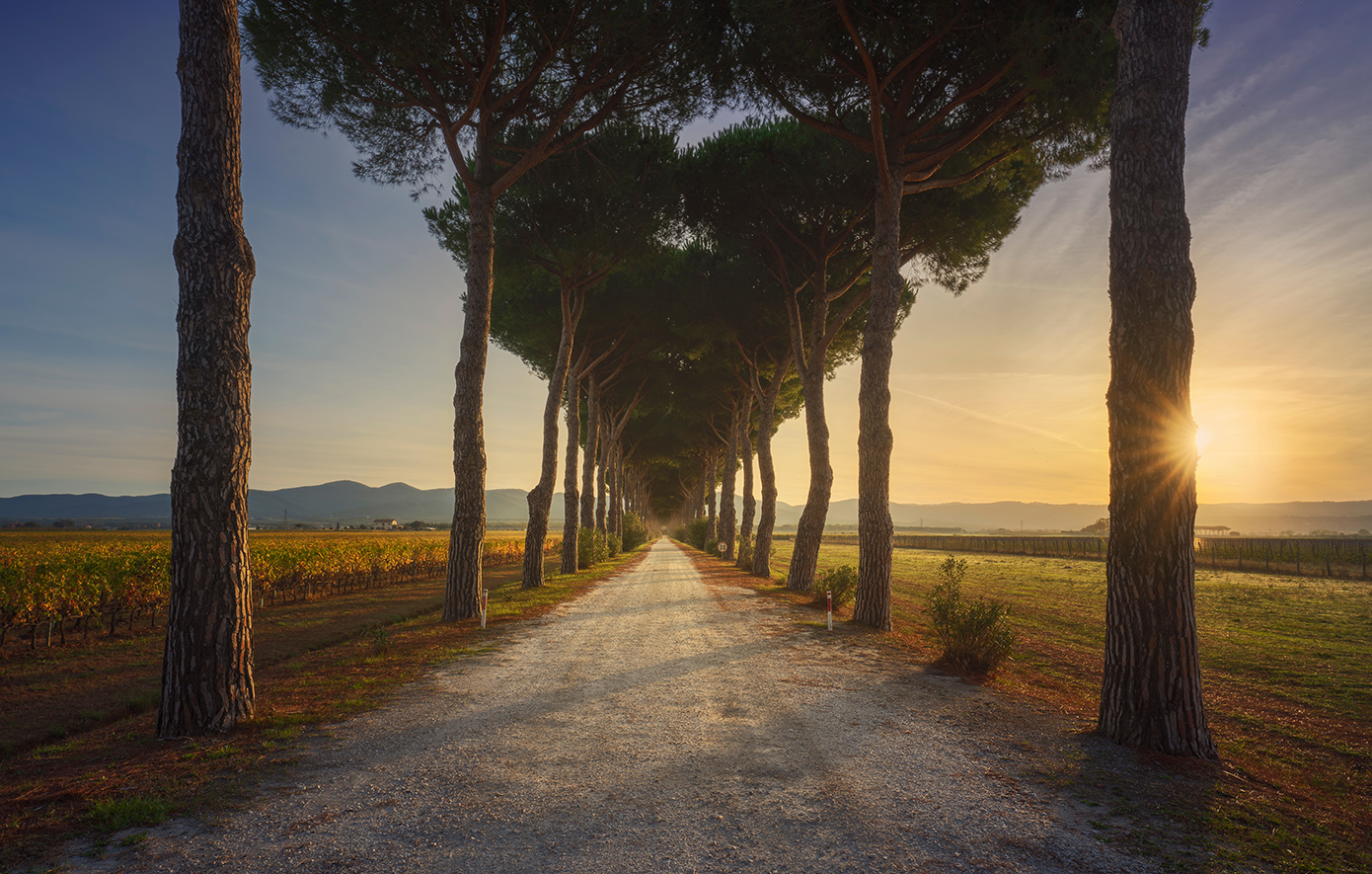 Μπολγκέρι Ιταλια Μπολγκέρι Ιταλια