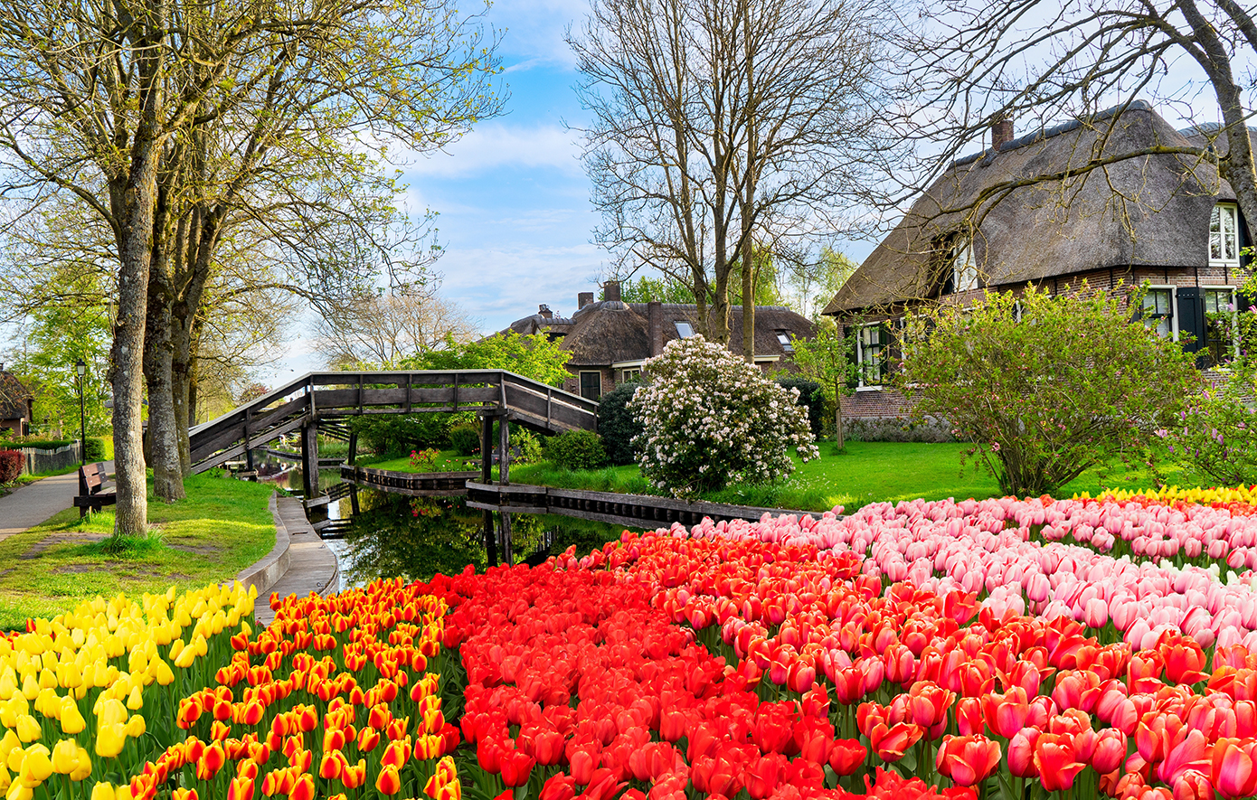 Γκίτχορν Ολλανδία Γκίτχορν Ολλανδία