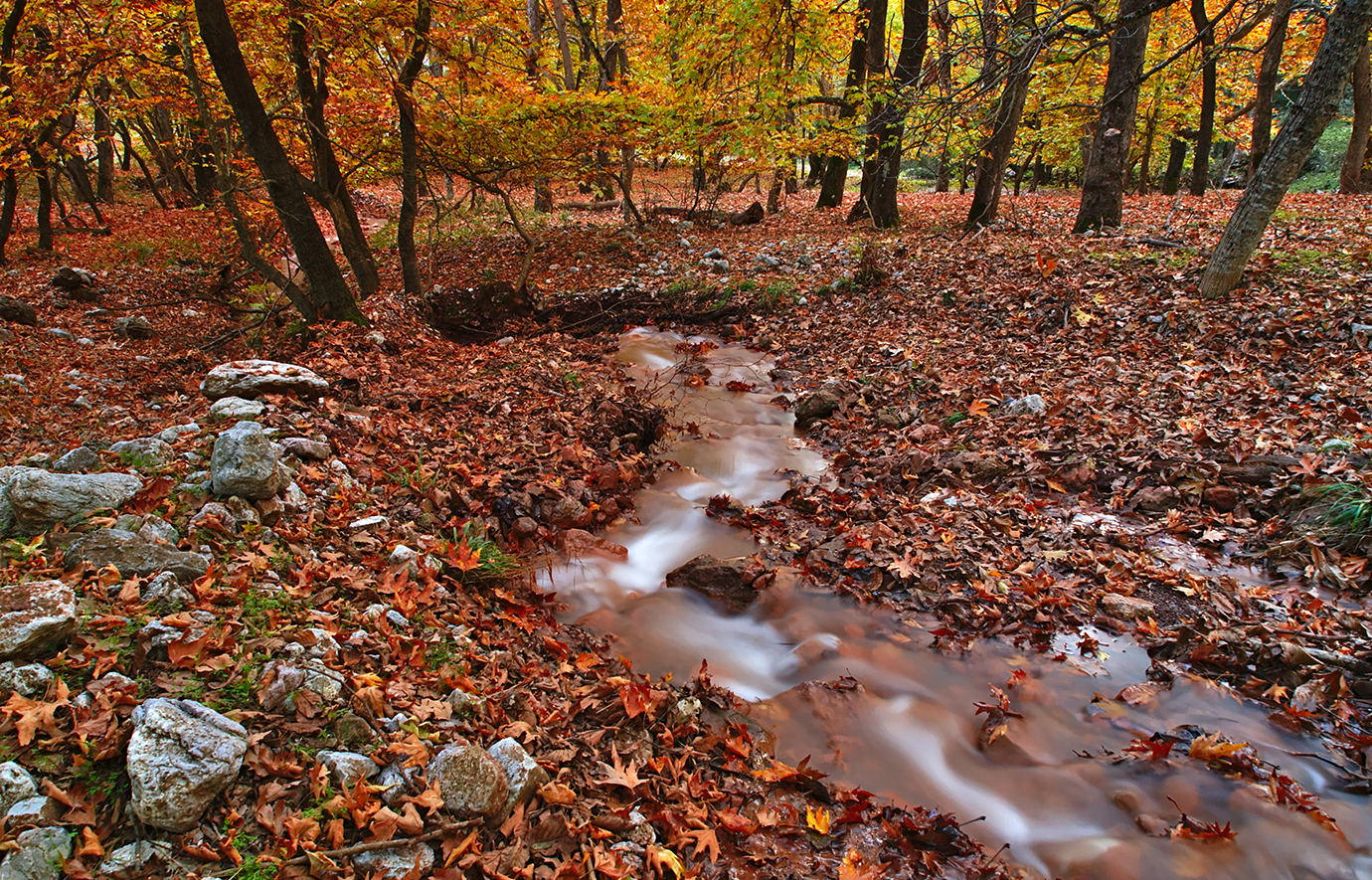Πλανητέρο Πλανητέρο