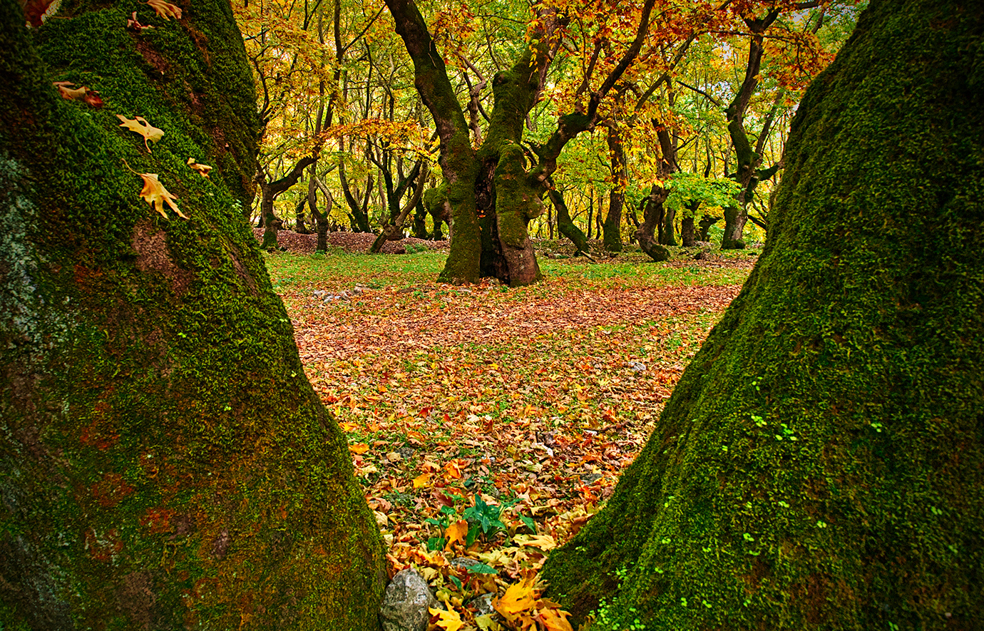 Πλανητέρο Πλανητέρο
