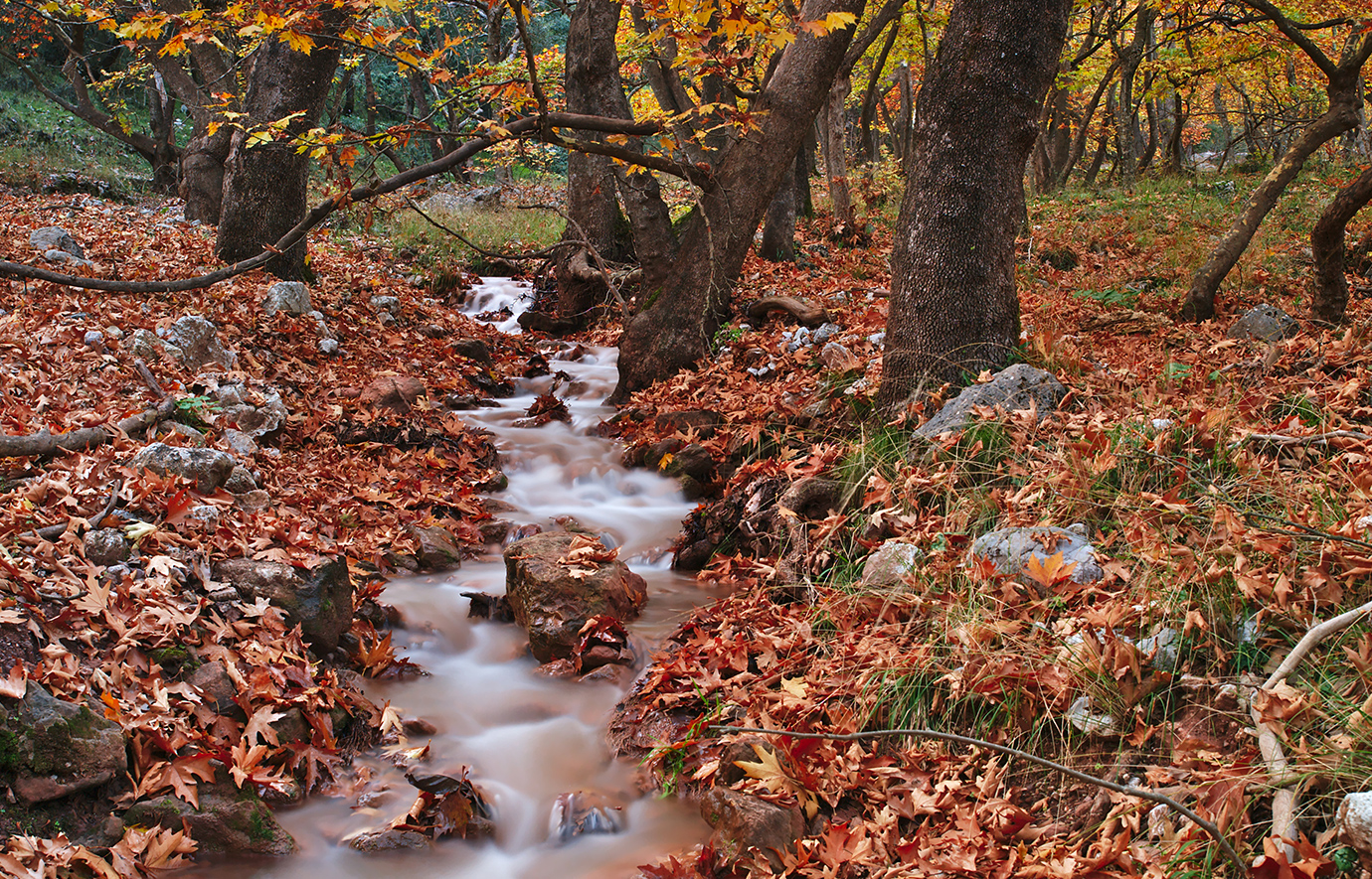 Πλανητέρο Πλανητέρο