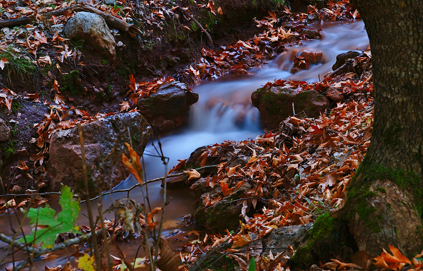 Πλανητέρο Πλανητέρο